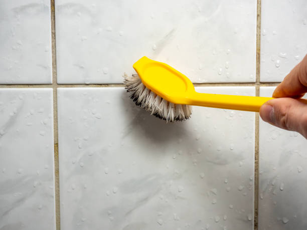 Mold Removal and Inspection in Texarkana, AR