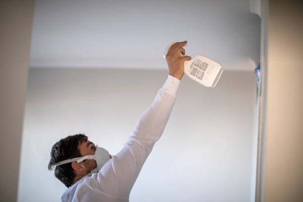 Best Toxic Mold Removal  in Texkana, AR