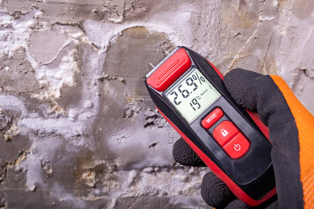 Best Mold Testing  in Texkana, AR
