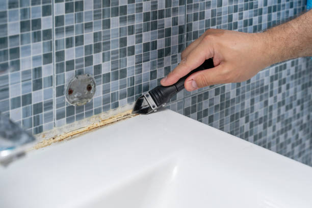 Best Mold Damage Repair  in Texkana, AR