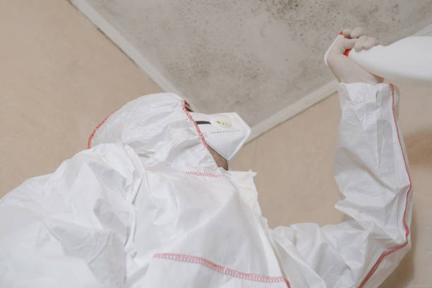 Best Commercial Mold Removal  in Texkana, AR